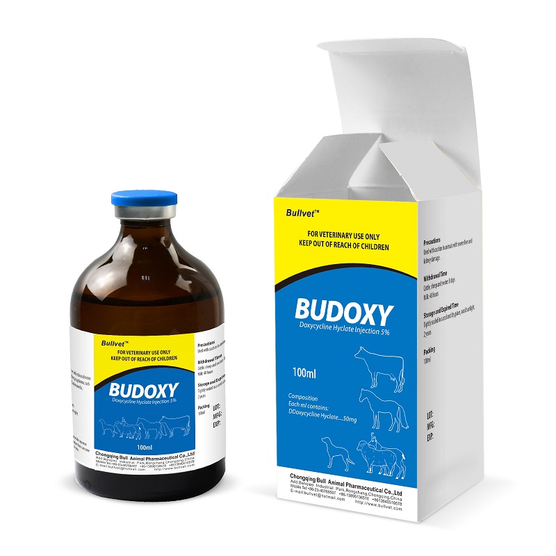 Doxycycline Hyclate Injection 5% (BUDOXY)