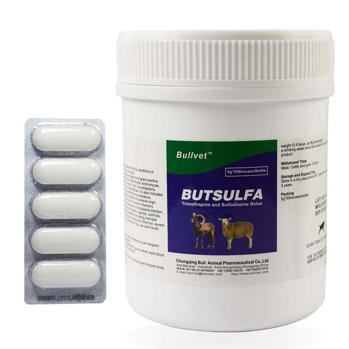 Trimethoprim and Sulfadimidine Bolus,Antibacterial drugs,Bullvet,China