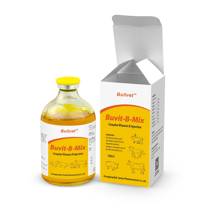 Complex Vitamin B Injection,Nutritional drugs,Bullvet,Bullvet