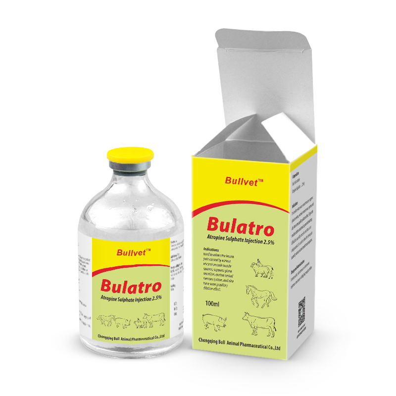 Atropine Sulphate Injection Functional drugs Bullvet Bullvet