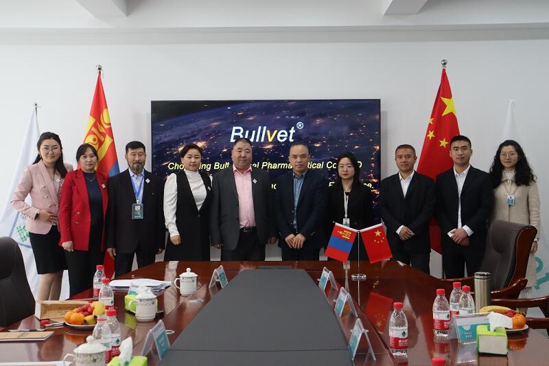 Bullvet Deepen High-Level International Cooperation 第 1 张