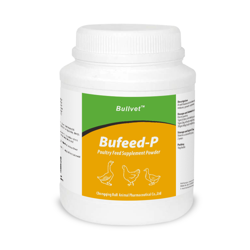 Suplemento alimentario en polvo para aves de corral