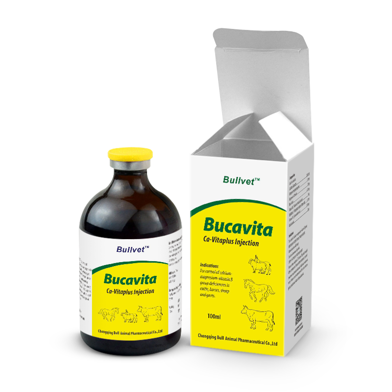 Инъекция Ca-Vitaplus