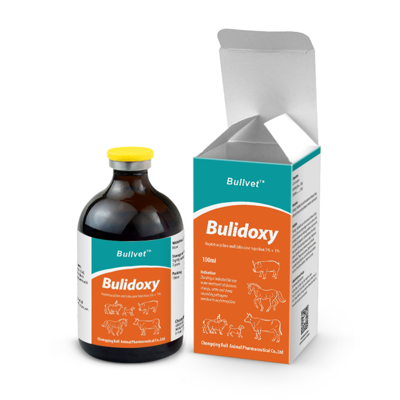 Injeção de oxitetraciclina e lidocaína