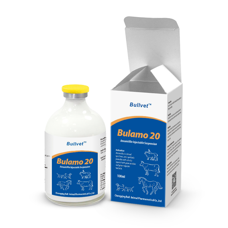 Suspensão injetável de amoxicilina