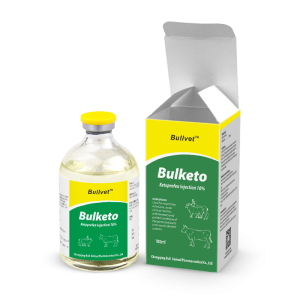 Ketoprofen Injection 10%