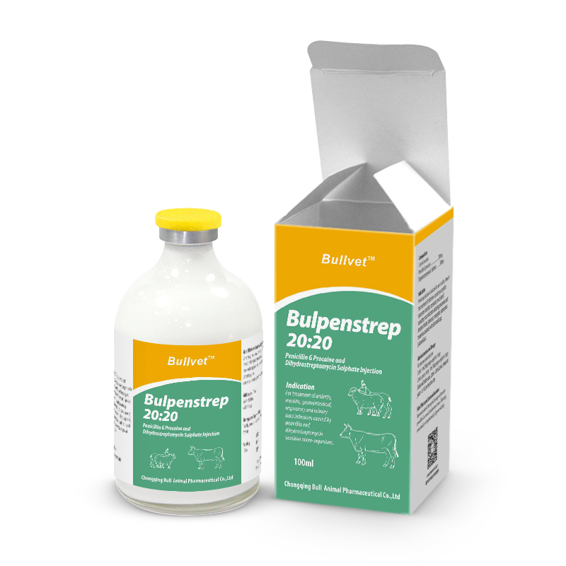 Penicillin G Procaine and Dihydrostreptomycin Sulfate Injection 200000IU:200000IU
