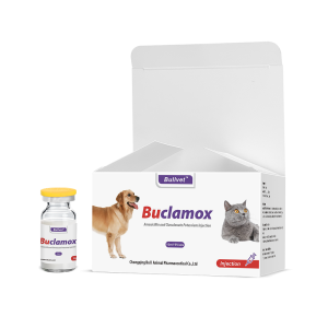 Amoxicillin and Clavulanate Potassium Injection 14%+3.5%