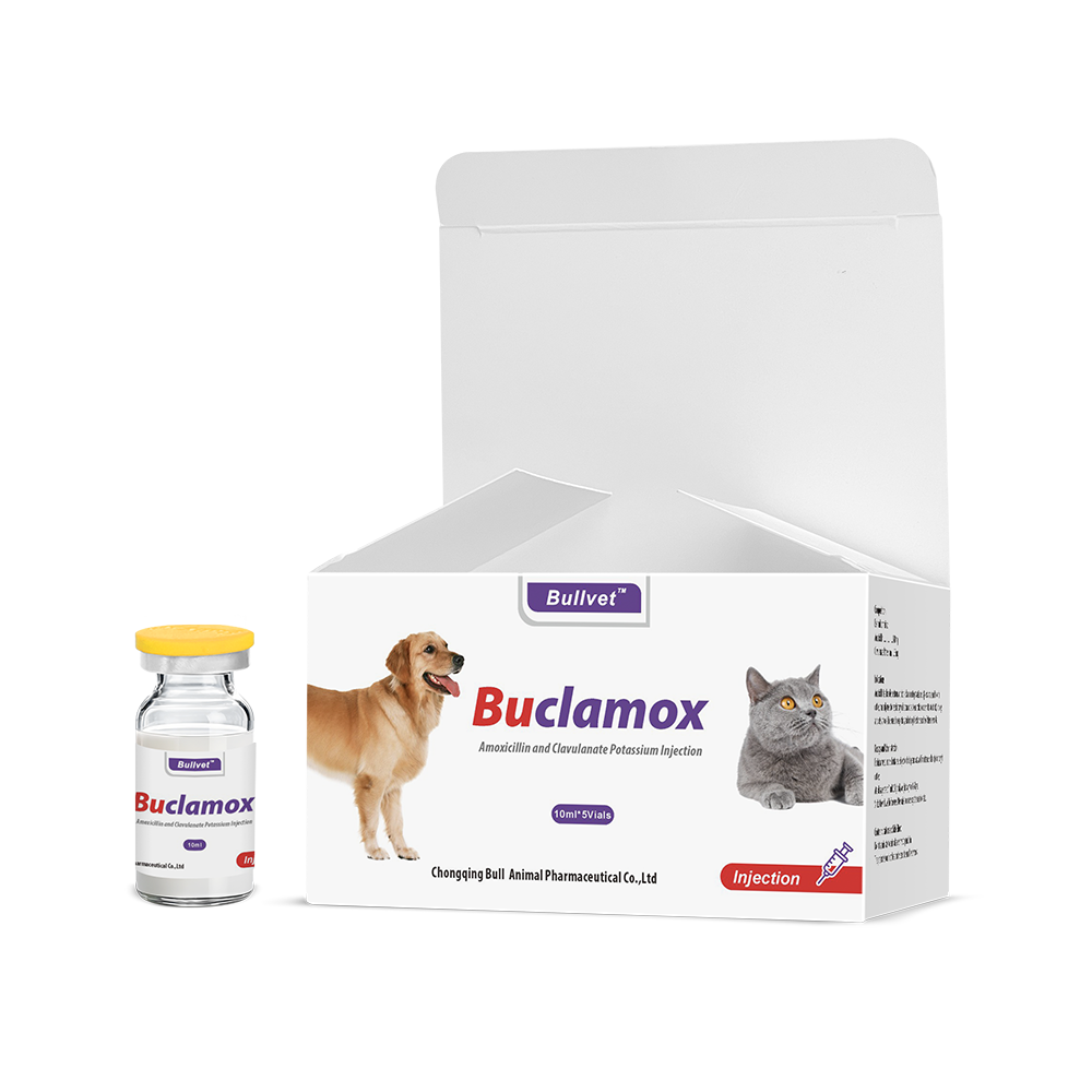 Amoxicillin and Clavulanate Potassium Injection 14%+3.5%