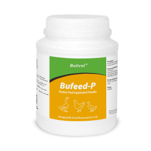 Poultry Feed Supplement Powder