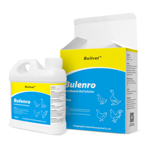 Enrofloxacin Oral Solution 10%