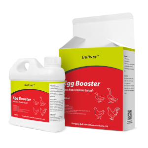 Best Nano Vitamin Liquid