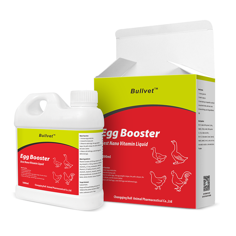 Best Nano Vitamin Liquid