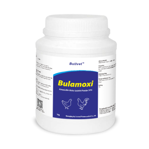 Amoxicillin Water Soluble Powder 50%