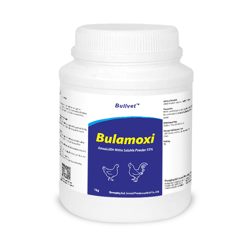 Amoxicillin Water Soluble Powder 50%