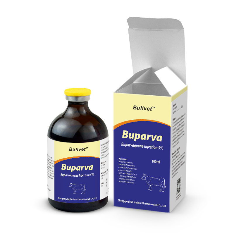 Buparvaquone Injection 5%