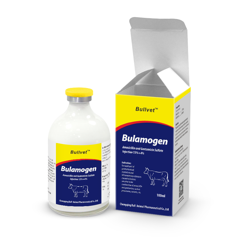 Amoxicillin and Gentamicin Sulfate Injection 15%+4%