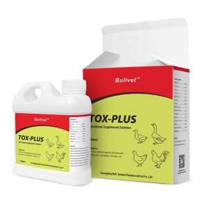Nutritional Supplement Solution