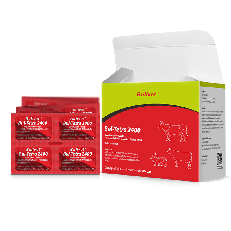 Oxyclozanide and Levamisole Hydrochloride Bolus 1400mg+1000mg