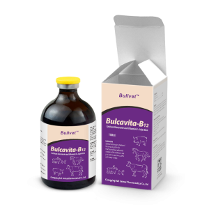Calcium Gluconate and Vitamin B12 Injection 20%+0.00025%