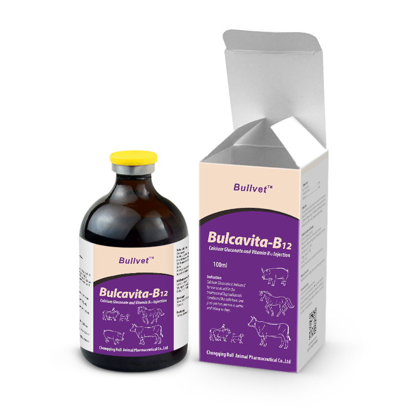 Calcium Gluconate and Vitamin B12 Injection 20%+0.00025%