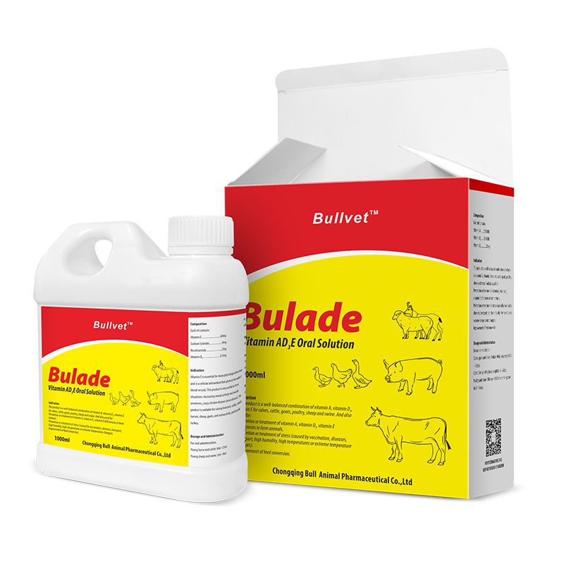 Vitamin AD3E Oral Solution