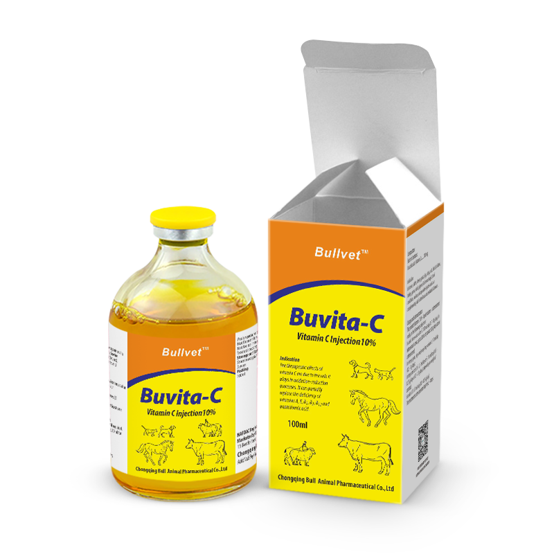 Vitamin C Injection 10%