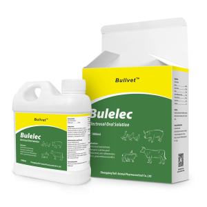 Electrosol Oral Solution