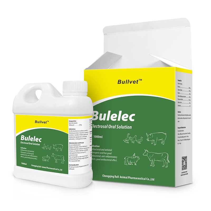 Electrosol Oral Solution