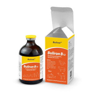 Iron Dextran and Vitamin B12 Injection 10%+0.01%