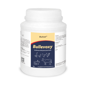 Levofloxacin and Oxytetracycline Powder 20% + 20%