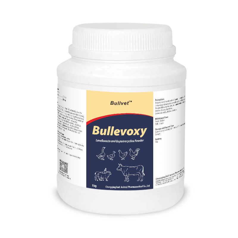 Levofloxacin and Oxytetracycline Powder 20% + 20%