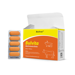 Multivitamin Bolus