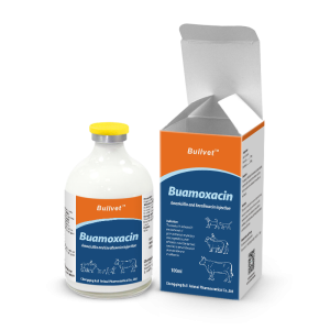 Amoxicillin & Enrofloxacin Injection 15% + 10%