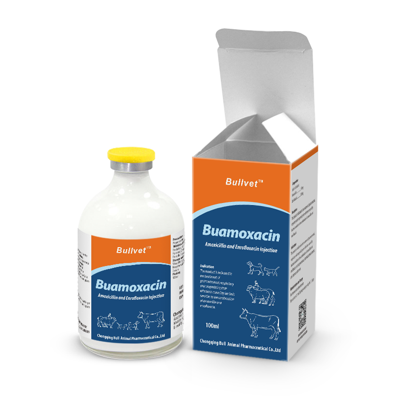 Amoxicillin & Enrofloxacin Injection 15% + 10%