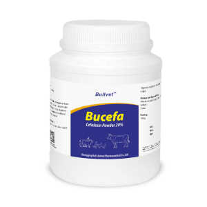 Cefalexin Powder 20%
