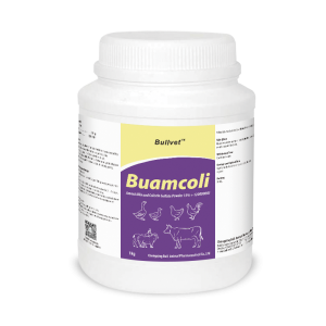 Amoxicillin and Colistin Sulfate Powder 15% + 1200000IU