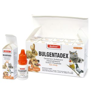 Gentamicin Sulfate and Dexamethasone Sodium Phosphate Eye Drop For Pet