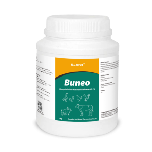 Neomycin Sulfate Water Soluble Powder 62.5%