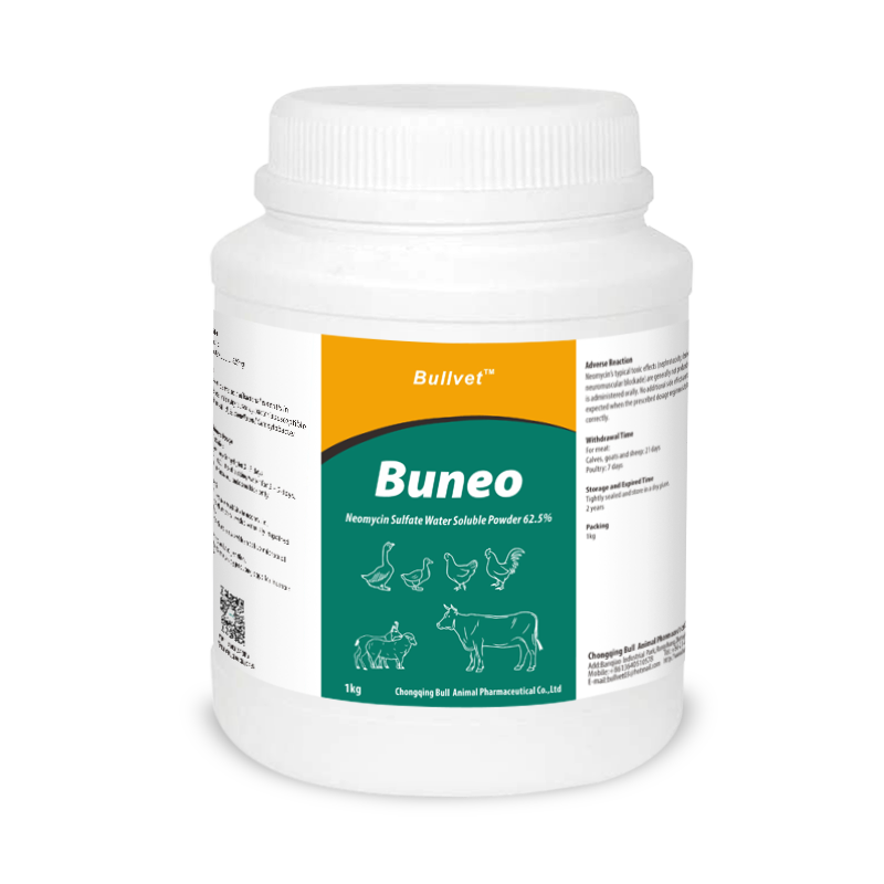 Neomycin Sulfate Water Soluble Powder 62.5%