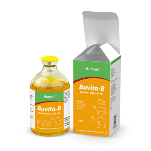 Vitamin B1 and B6 Injection