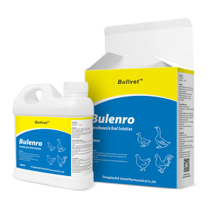Enrofloxacin Oral Solution 20%