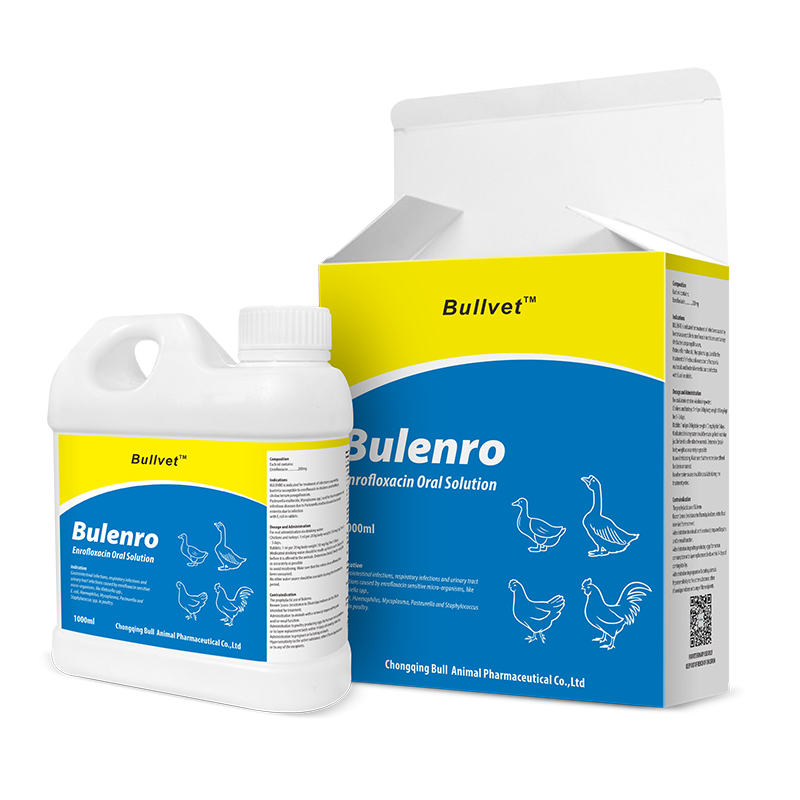 Enrofloxacin Oral Solution 20%