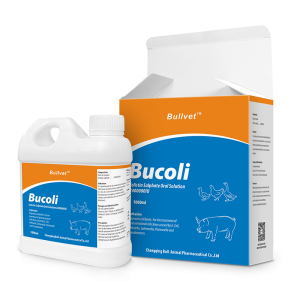 Colistin Sulfate Oral Solution 2400000IU