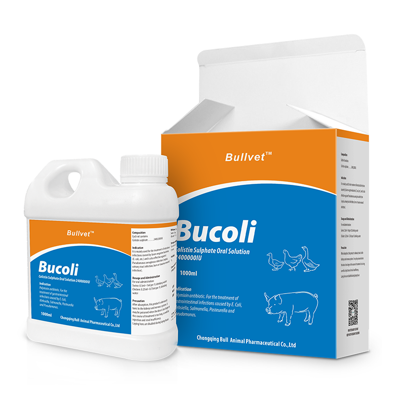 Colistin Sulfate Oral Solution 2400000IU