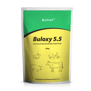 Oxytetracycline Hydrochloride Water Soluble Powder 5.5%