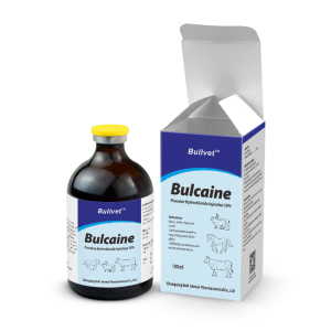 Procaine Hydrochloride Injection 5%