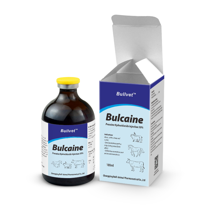 Procaine Hydrochloride Injection 5%