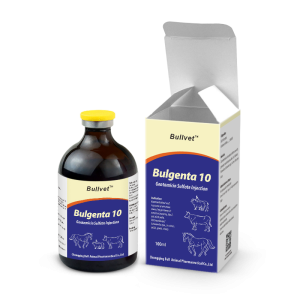 Gentamicin Sulfate Injection 100000IU