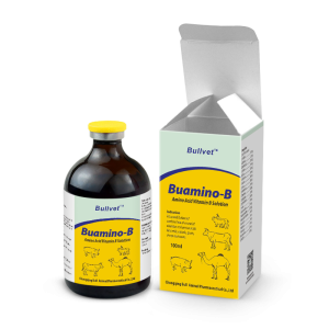 Amino Acid Vitamin B Injection